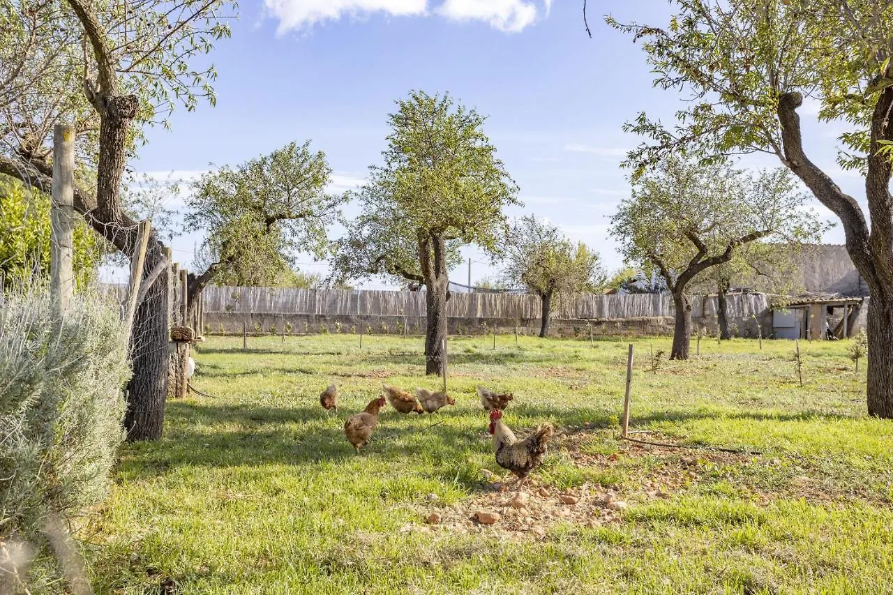 Finca Sa Tanqueta Rustica Spain